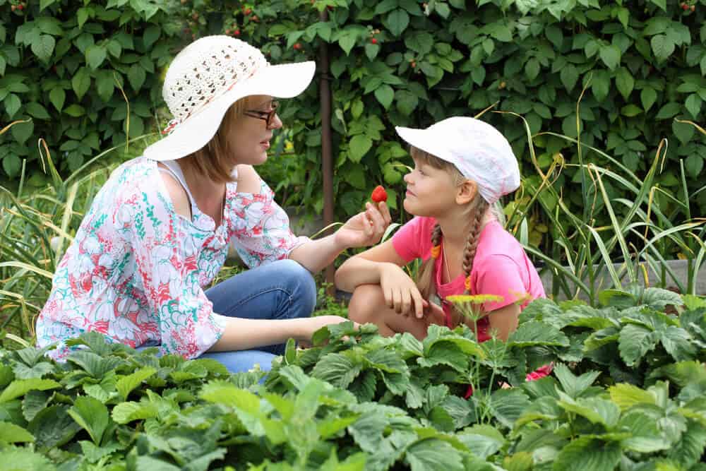 mom and daughter checking strawberry