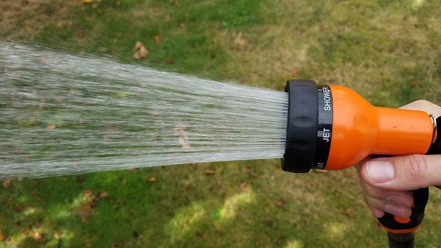 Hose And Sprayer