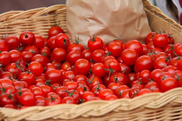easiest vegetables to grow: tomatoes