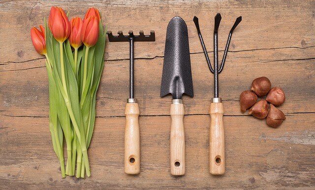 7 important gardening tools