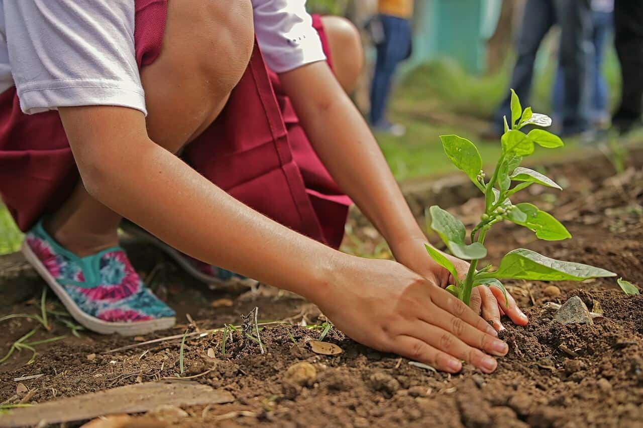 female student planting 