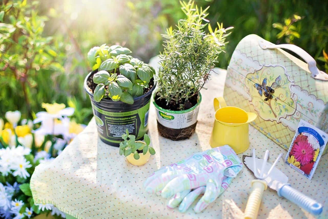 start a garden with gardening tools