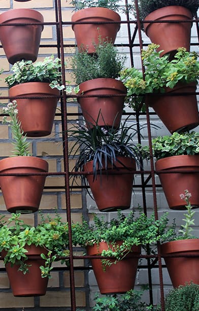 pot planting stacked in metal stand