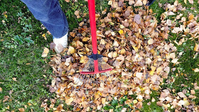 garden leaf rake: what every gardener needs