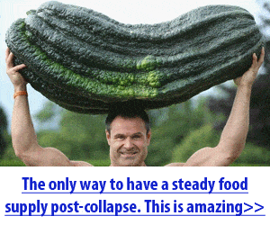 giant squash with weird proportion lifted by a man
