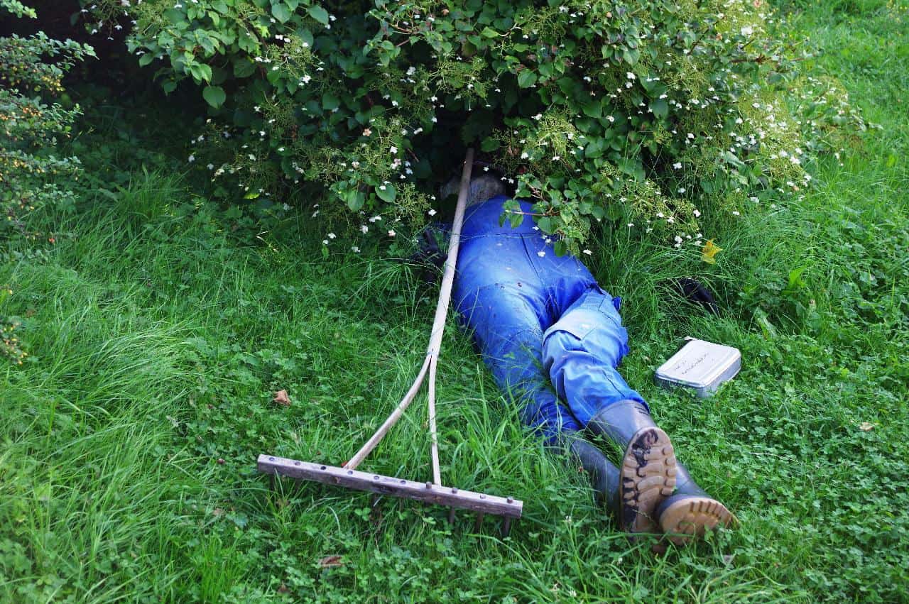 gardener inside a bush