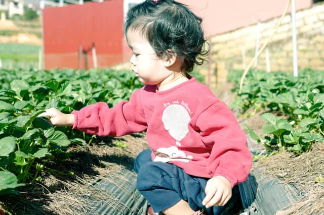little girl holding leaves in a garden