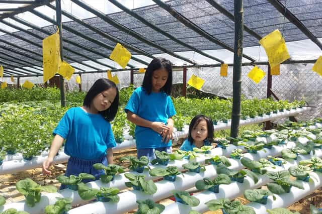 three little girls in a aquaphonic garden