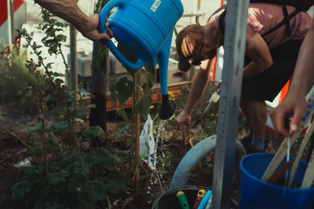 benefits of urban farming