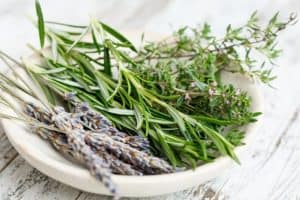 Perfect herbs with AeroGarden Harvest