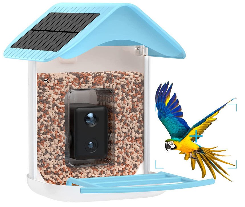 A solar powered bird feeder with a camera capturing a parrot in action.
