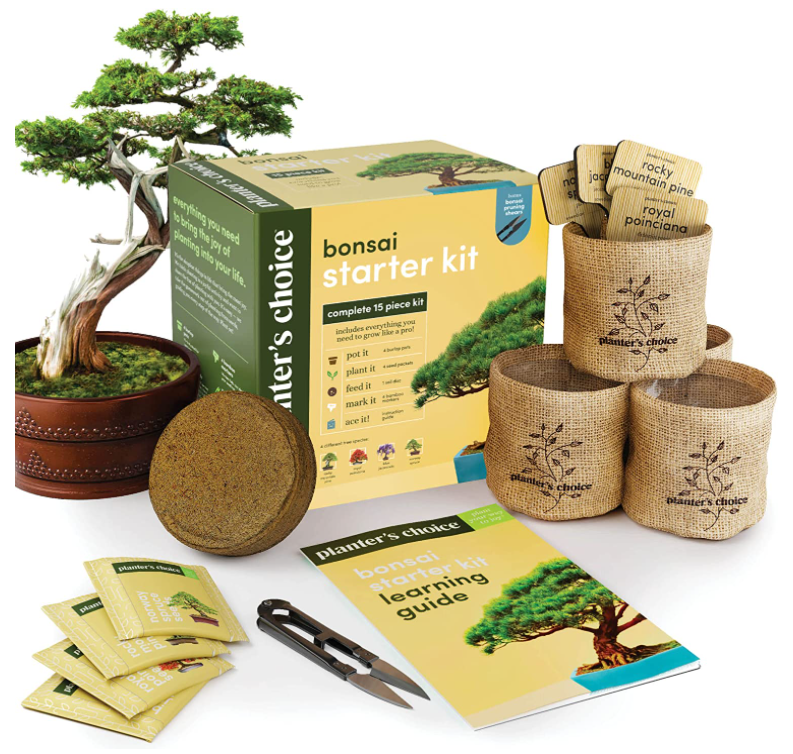 Bonsai Starter Kit - Bonsai Tree Growing Garden Crafts Hobby Kits for Adults