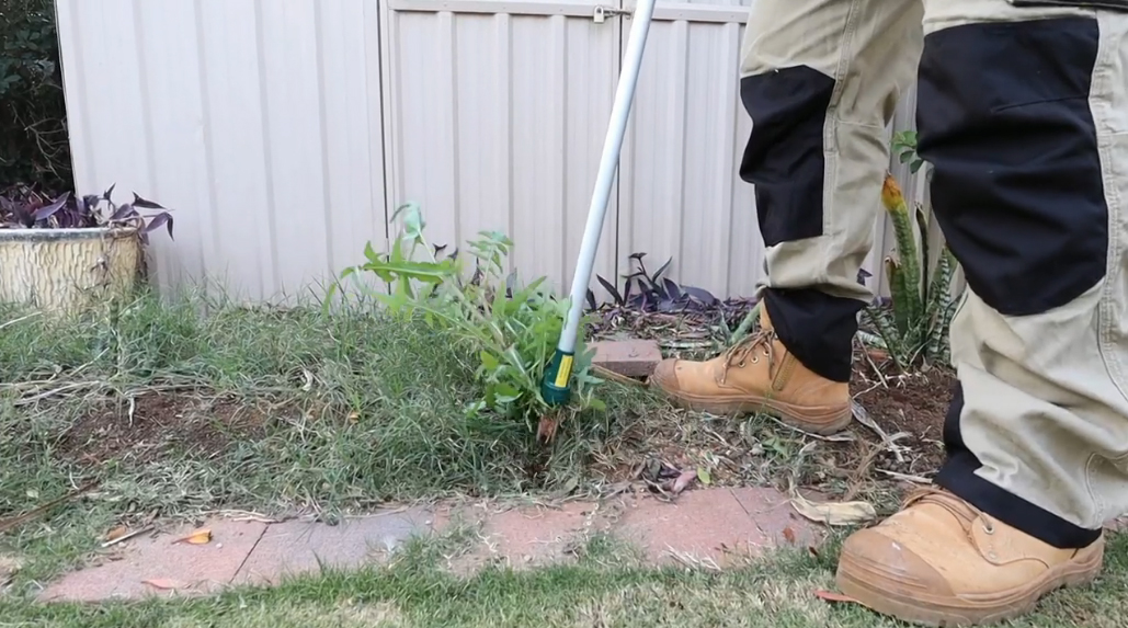 Walensee Stand Up Weeder Hand Tool Gardening WOW