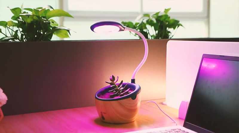 HYPERECHO Indoor Led Grow Light