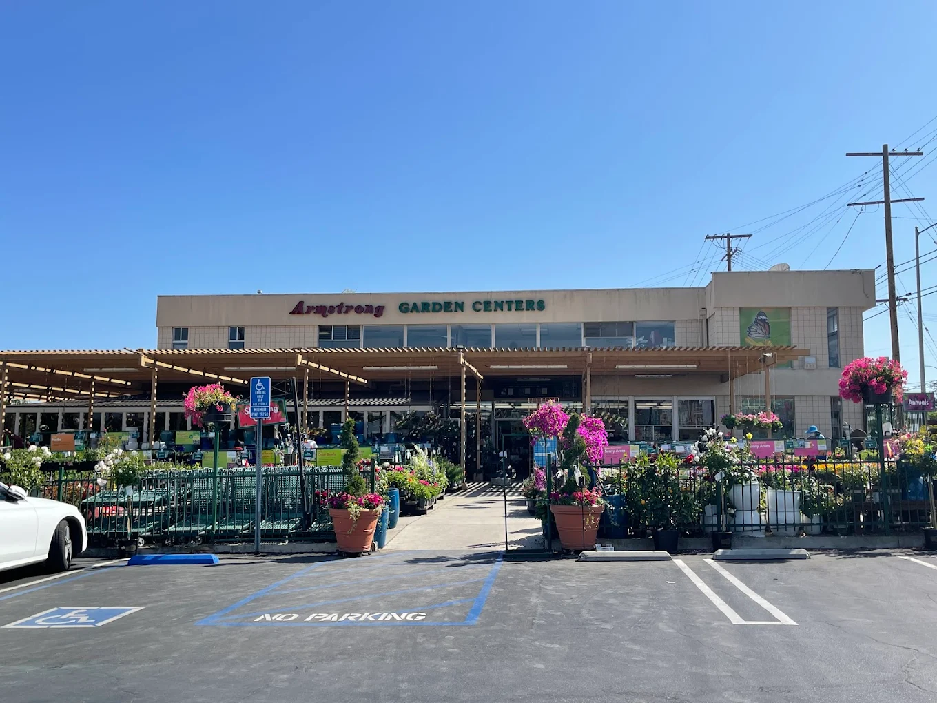 Front view of a garden center with outdoor plants and flowers, a pergola, shopping carts, and visible "Armstrong Garden Centers" signage under a clear blue sky.